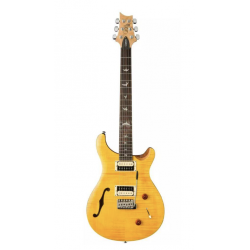 PRS SE Custom 22 Semi Hollow Electric Guitar