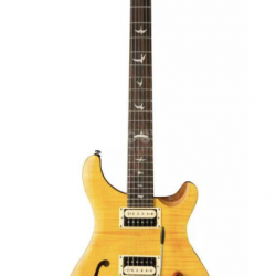 PRS SE Custom 22 Semi Hollow Electric Guitar