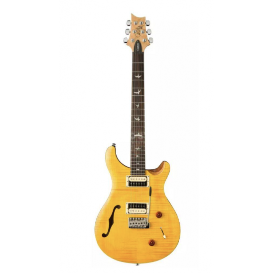 PRS SE Custom 22 Semi Hollow Electric Guitar