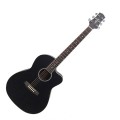 Acoustic Guitar