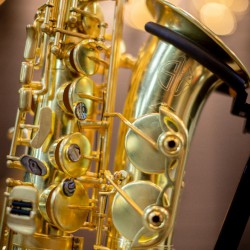 Eb Alto Saxophone - SL Unlacquered Gold