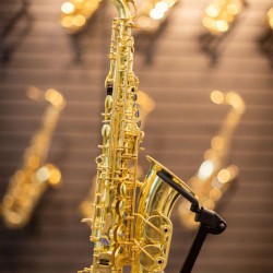 Eb Alto Saxophone - SL Unlacquered Gold