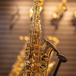 Eb Alto Saxophone - SL Lacquered Gold