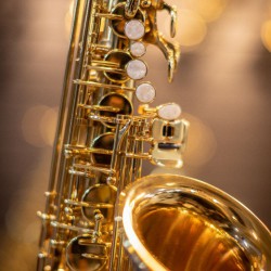 Eb Alto Saxophone - SL Lacquered Gold