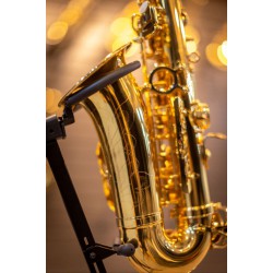 Eb Alto Saxophone - SL Lacquered Gold