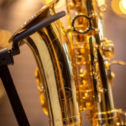 Eb Alto Saxophone - SL Lacquered Gold