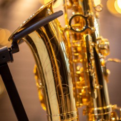 Eb Alto Saxophone - SL Lacquered Gold