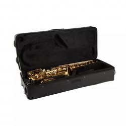 Aeolus N900 Alto Saxophone Come With Carrying Case And Accessories (No.900 / N.900 / N900 / N'900)