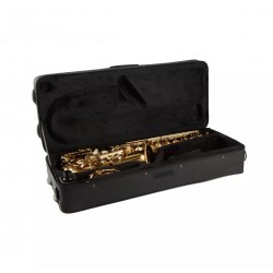 Aeolus N900 Alto Saxophone Come With Carrying Case And Accessories (No.900 / N.900 / N900 / N'900)