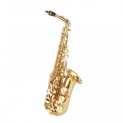 Aeolus N900 Alto Saxophone Come With Carrying Case And Accessories (No.900 / N.900 / N900 / N'900)