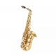 Aeolus N900 Alto Saxophone Come With Carrying Case And Accessories (No.900 / N.900 / N900 / N'900)