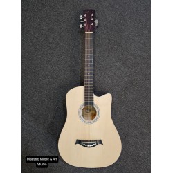 RCStromm Acoustic Guitar