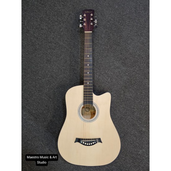 RCStromm Acoustic Guitar