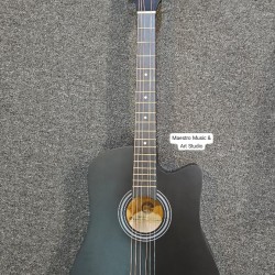 RCStromm Acoustic Guitar