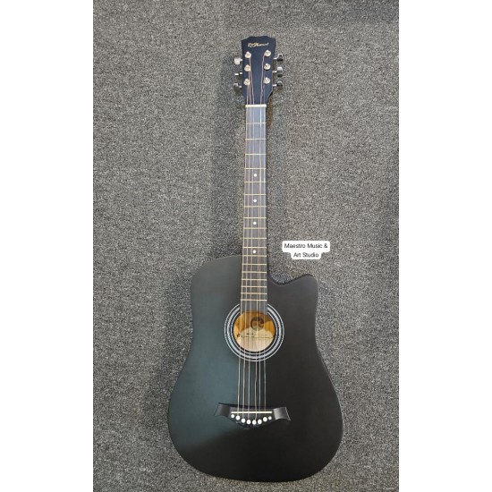 RCStromm Acoustic Guitar