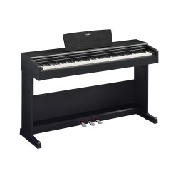 YDP-105