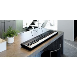 Korg Piano