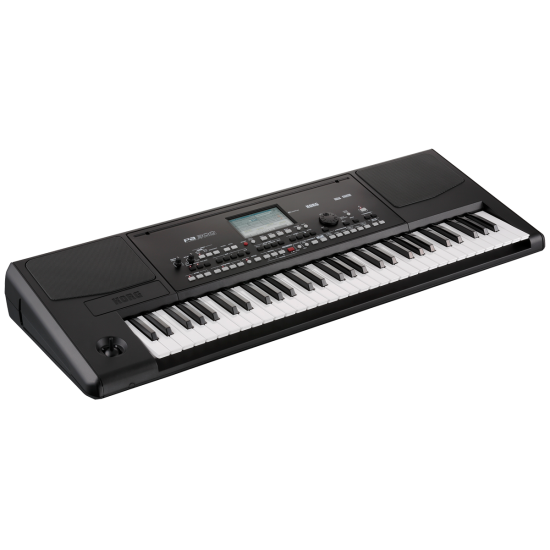 Korg Pa300